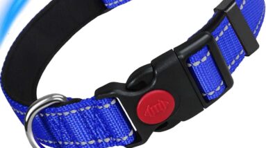 ateteo reflective dog collar review