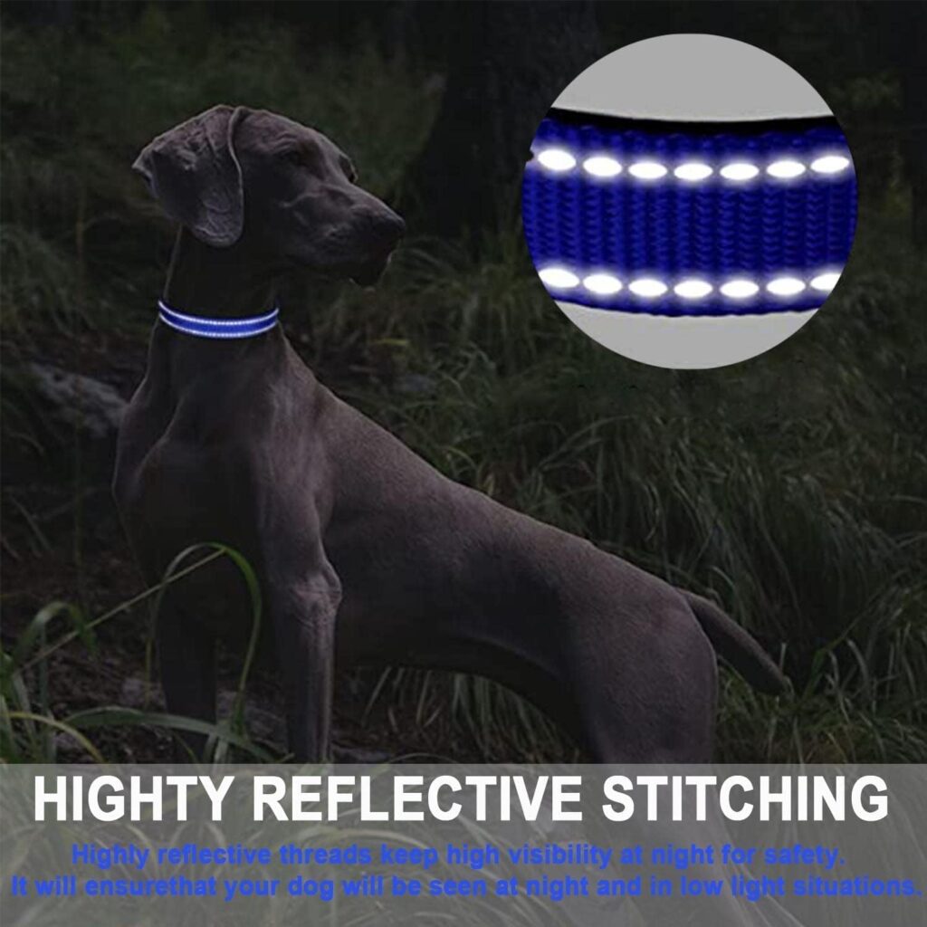 ATETEO Reflective Dog Collar with Safety Locking Buckle and Soft Neoprene Padded, Adjustable Durable Nylon Puppy Collar for Medium large Dogs,Blue,M: 13-19.7 inch