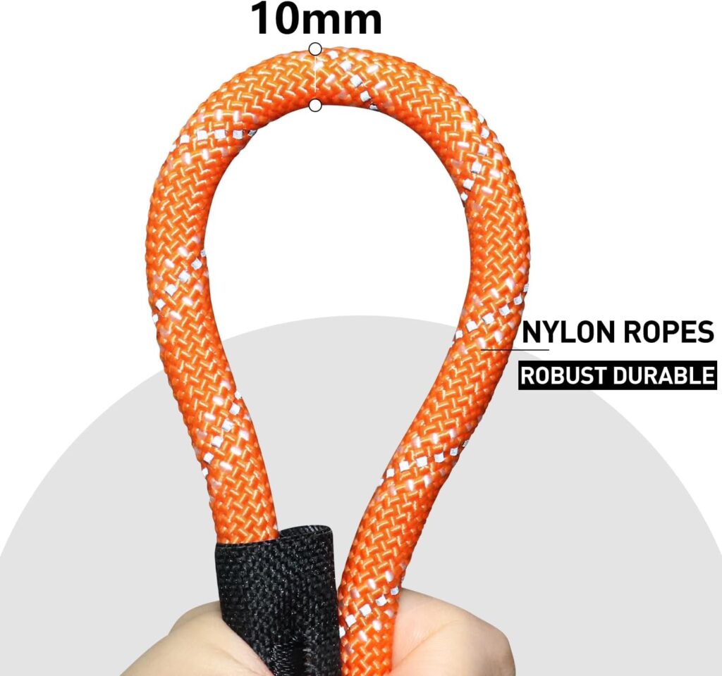 CANDYDOG Training Lead for Dogs 20m, Reflective Long Dog Rope Leash with Soft Padded Handle for Dogs, Suitable for Small to Large Dogs, Orange - Classic Leashes and Training Leashes