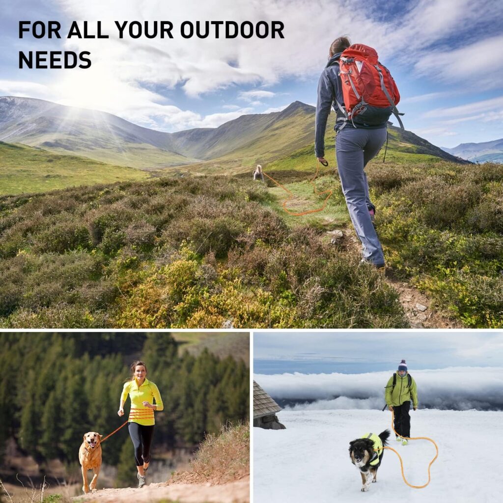 CANDYDOG Training Lead for Dogs 20m, Reflective Long Dog Rope Leash with Soft Padded Handle for Dogs, Suitable for Small to Large Dogs, Orange - Classic Leashes and Training Leashes