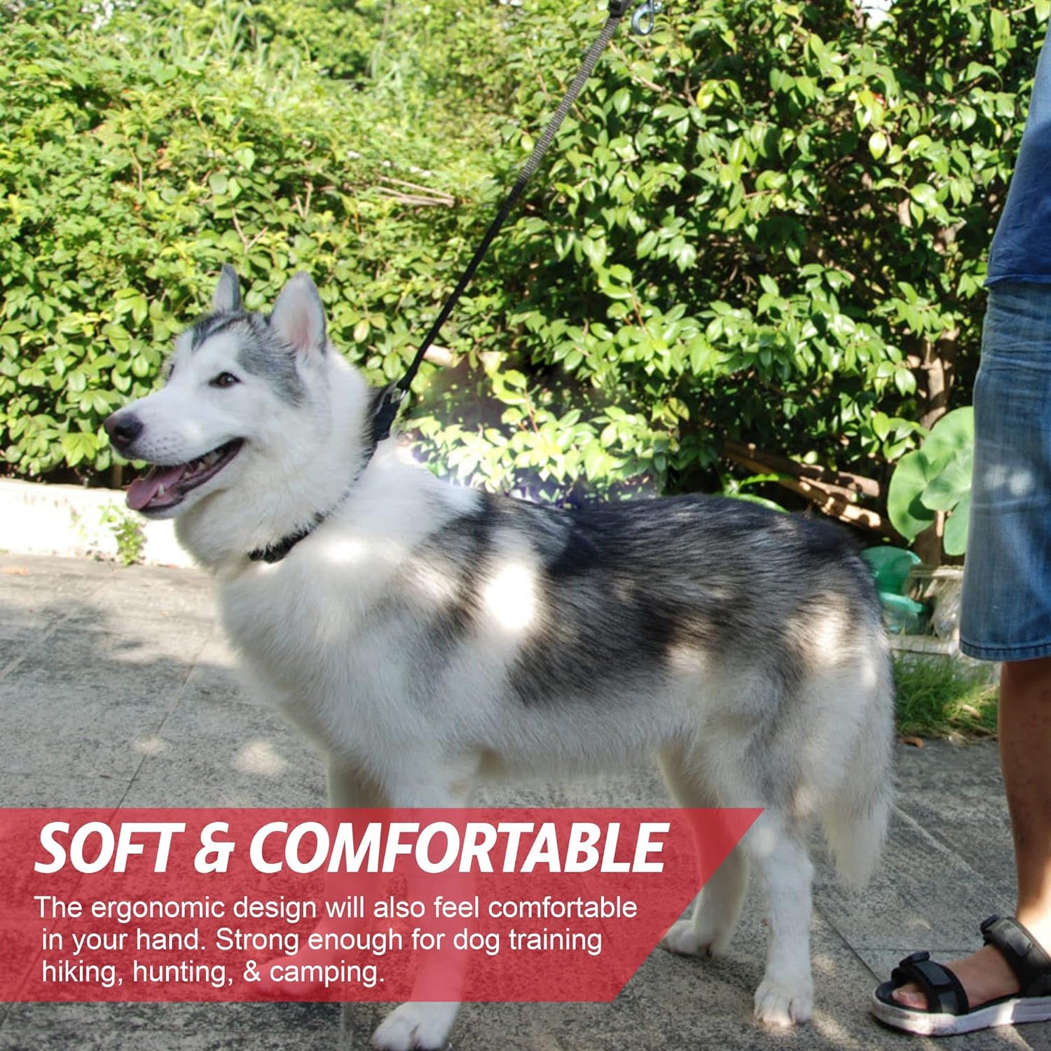 Control Dog Lead Pet Training Leash Lead Review