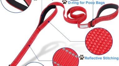 dog lead review