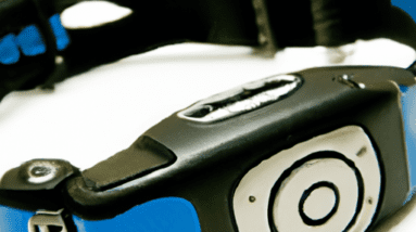 dog training collar review