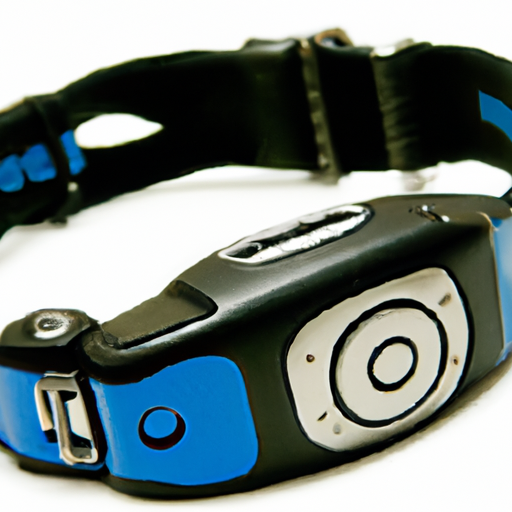 Dog Training Collar Review