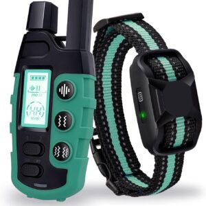dog training collar with remote review
