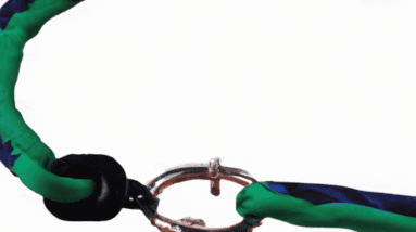 dog training lead review