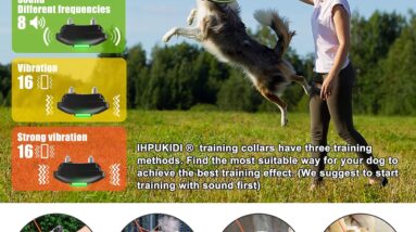 effective dog training collar review