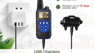 electronic dog collar review