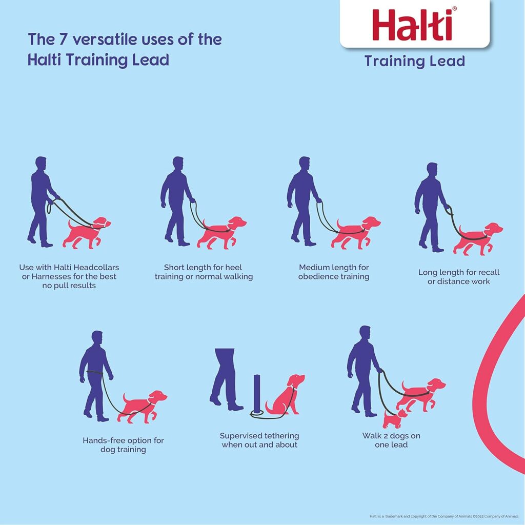 HALTI Training Lead Size Large Black, 2m, Professional Dog Lead to Stop Pulling on the Lead, Perfect for Puppy Walks, Easy to Use Double-Ended Dog Leash, Lightweight Soft Durable HALTI Training Lead Size Large Black, 2m, Professional Dog Lead to Stop Pulling on the Lead, Perfect for Puppy Walks, Easy to Use Double-Ended Dog Leash, Lightweight Soft Durable