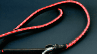 iokheira training lead review