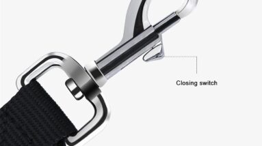 jkc dog training lead review