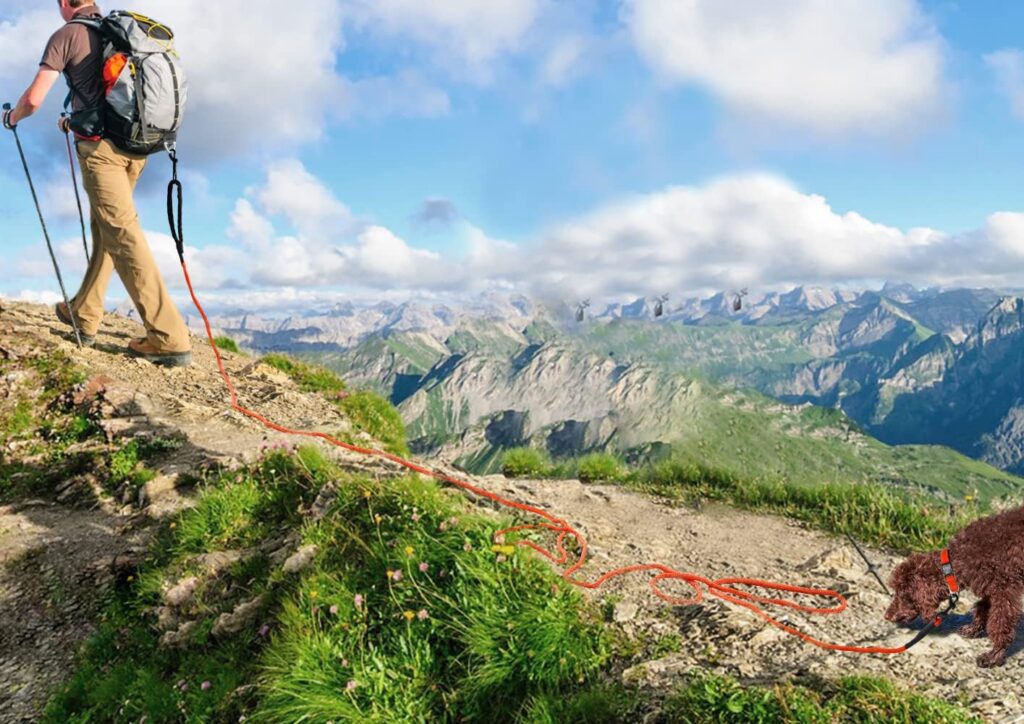 Joytale Long Training Lead for Dogs, 15/10/5M Strong Reflective Dog Training Leads with Soft Handle, Nylon Rope Long Line Dog Leads for Small and Puppy Dogs with 2 Hook Tie out, 15M, Orange