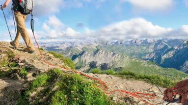 joytale long training lead review