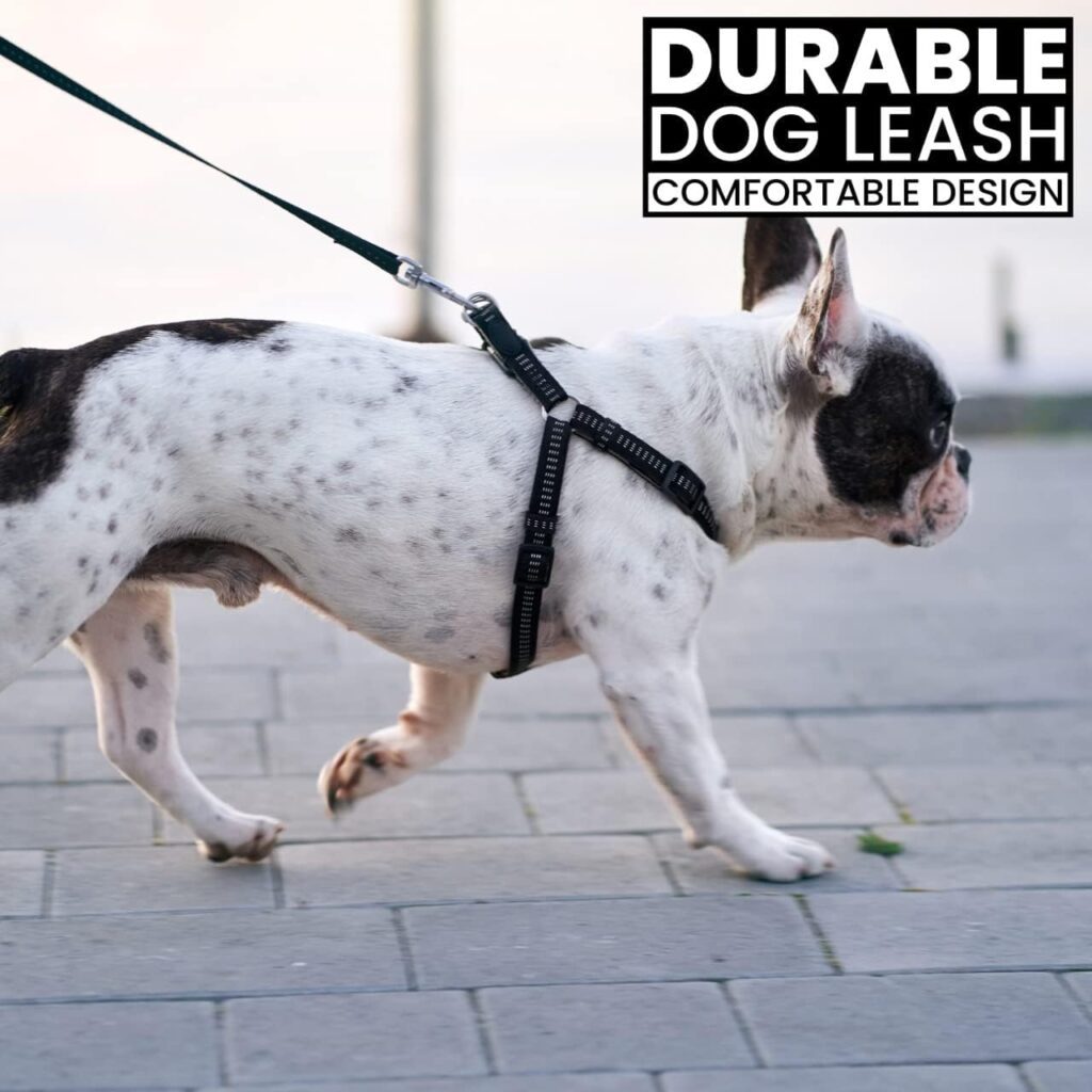 Loutep Training Lead for Dogs 3m 5m 10m 15m 20m 25m 30m Strong Nylon Rope Extra Long Line Dog Lead Leash with Padded Handle for Large Medium Small Puppy Recall Pet Walking Obedience Outdoor Play