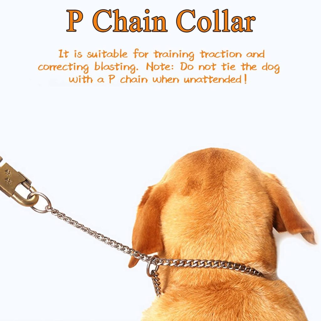 Metal Choke Chain for Dog, Durable Thick Dog Collar for Pet Outdoor Training Small Medium Large Puppy Adjustable Silver Metal Necklace,L Metal Choke Chain for Dog, Durable Thick Dog Collar for Pet Outdoor Training Small Medium Large Puppy Adjustable Silver Metal Necklace,L