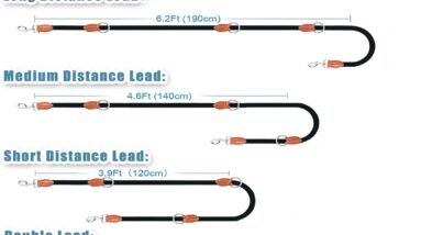 multi function hands free dog lead review