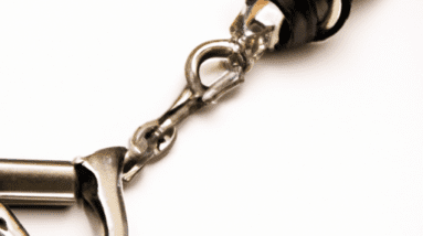 pettom long line dog lead leash review