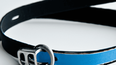 recall training for dogs review