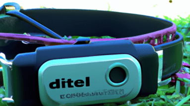 remote dog trainer review