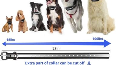 sufmiep dog training collar review