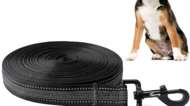 toozey dog training lead 5m review