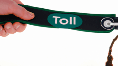 total pet training lead review