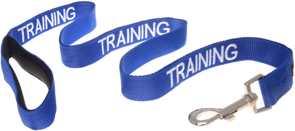 TRAINING (Dog In Training/Do Not Disturb) Blue Colour Coded 60cm 1.2m 1.8m Luxury Neoprene Padded Handle Dog Leads PREVENTS Accidents By Warning Others Of Your Dog In Advance (1.2m) TRAINING (Dog In Training/Do Not Disturb) Blue Colour Coded 60cm 1.2m 1.8m Luxury Neoprene Padded Handle Dog Leads PREVENTS Accidents By Warning Others Of Your Dog In Advance (1.2m)