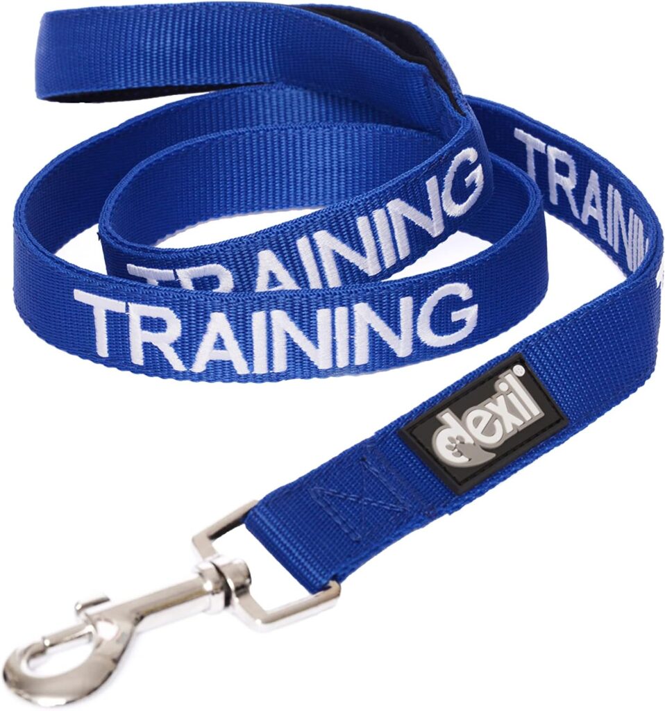 TRAINING (Dog In Training/Do Not Disturb) Blue Colour Coded 60cm 1.2m 1.8m Luxury Neoprene Padded Handle Dog Leads PREVENTS Accidents By Warning Others Of Your Dog In Advance (1.2m) TRAINING (Dog In Training/Do Not Disturb) Blue Colour Coded 60cm 1.2m 1.8m Luxury Neoprene Padded Handle Dog Leads PREVENTS Accidents By Warning Others Of Your Dog In Advance (1.2m)