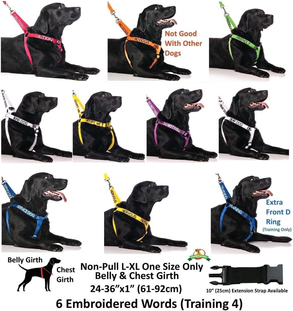 TRAINING (Dog In Training/Do Not Disturb) Blue Colour Coded S-M L-XL Dog Collars PREVENTS Accidents By Warning Others Of Your Dog In Advance (S-M)