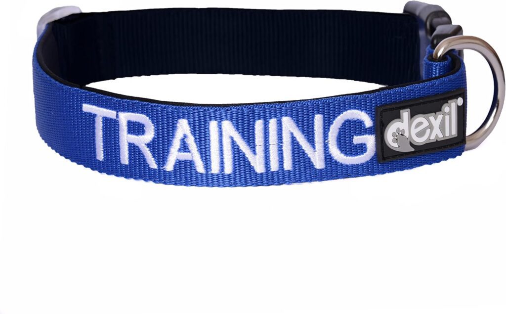 TRAINING (Dog In Training/Do Not Disturb) Blue Colour Coded S-M L-XL Dog Collars PREVENTS Accidents By Warning Others Of Your Dog In Advance (S-M)