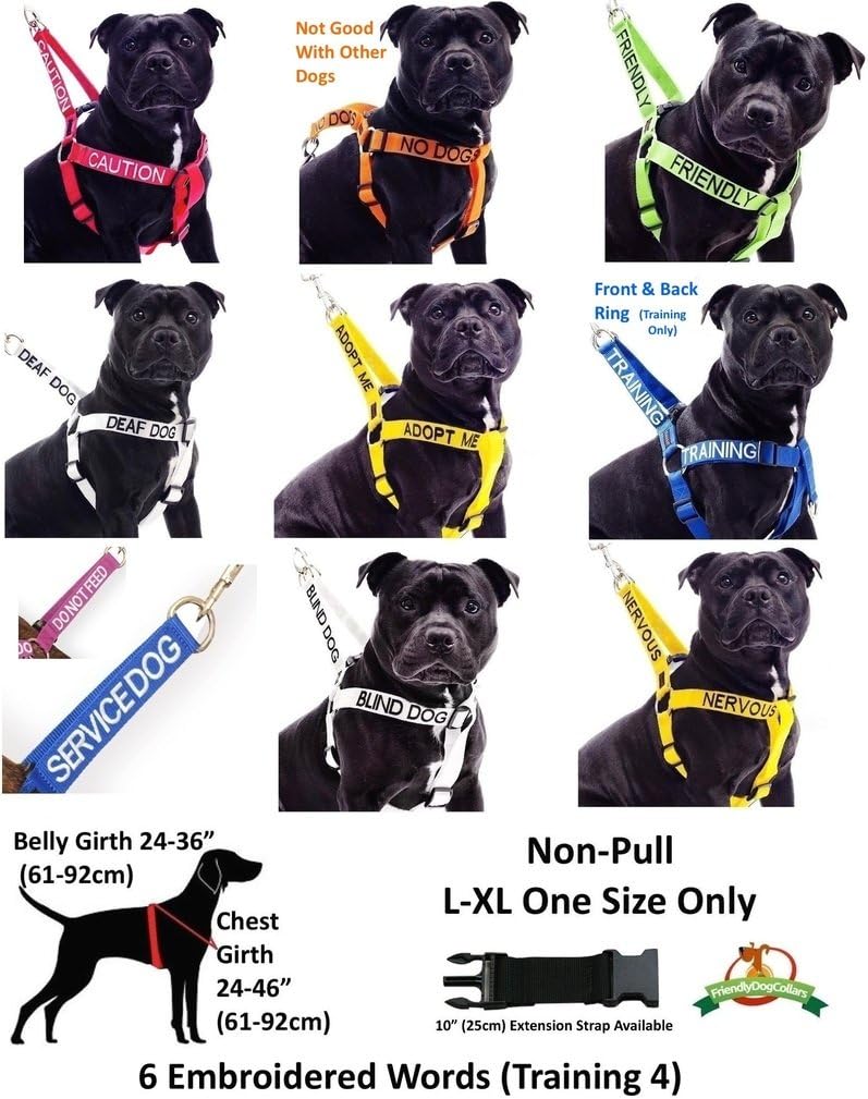 TRAINING (Dog In Training/Do Not Disturb) Blue Colour Coded S-M L-XL Dog Collars PREVENTS Accidents By Warning Others Of Your Dog In Advance (S-M)