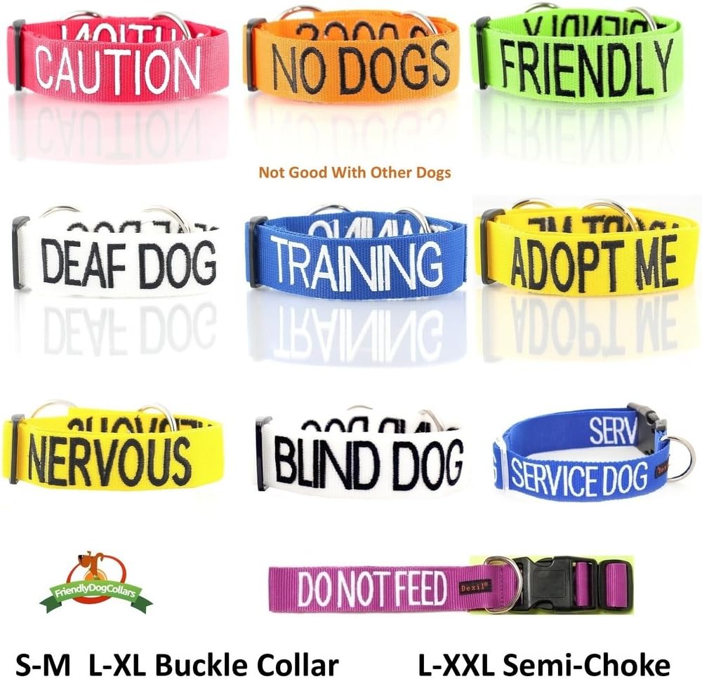TRAINING (Dog In Training/Do Not Disturb) Blue Colour Coded S-M L-XL Dog Collars PREVENTS Accidents By Warning Others Of Your Dog In Advance (S-M)