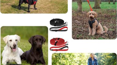 tuffdog training lead review