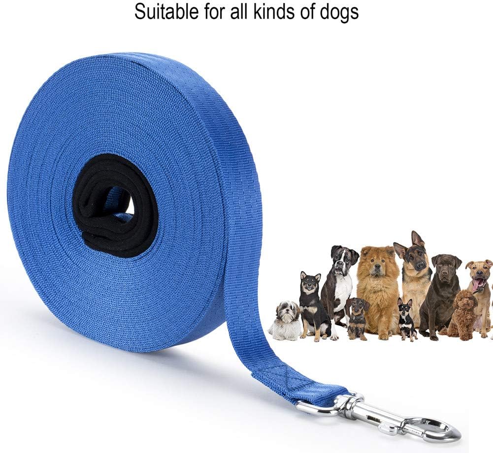 Vivifying Training Lead for Dogs, 20FT/6M Long Nylon Long Line Dog Lead for Pet Tracking Training Obedience Lead Leash (Red)