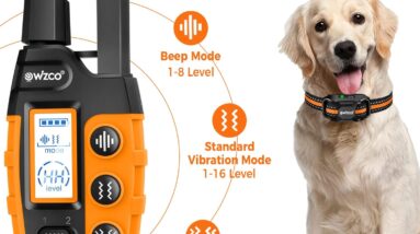 wizco dog collar review