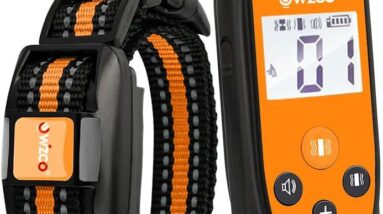 wizco remote control barking training collar review