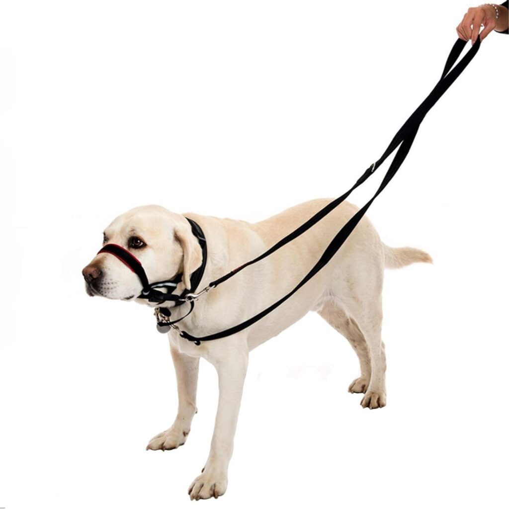 YankMooM Dog Training Lead Leash,6.9FT Double Ended Dog Lead for Training Walking Running Multi-Function Dog Lead Rope(Black) YankMooM Dog Training Lead Leash,6.9FT Double Ended Dog Lead for Training Walking Running Multi-Function Dog Lead Rope(Black)
