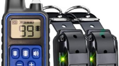 yixia dog training collar review