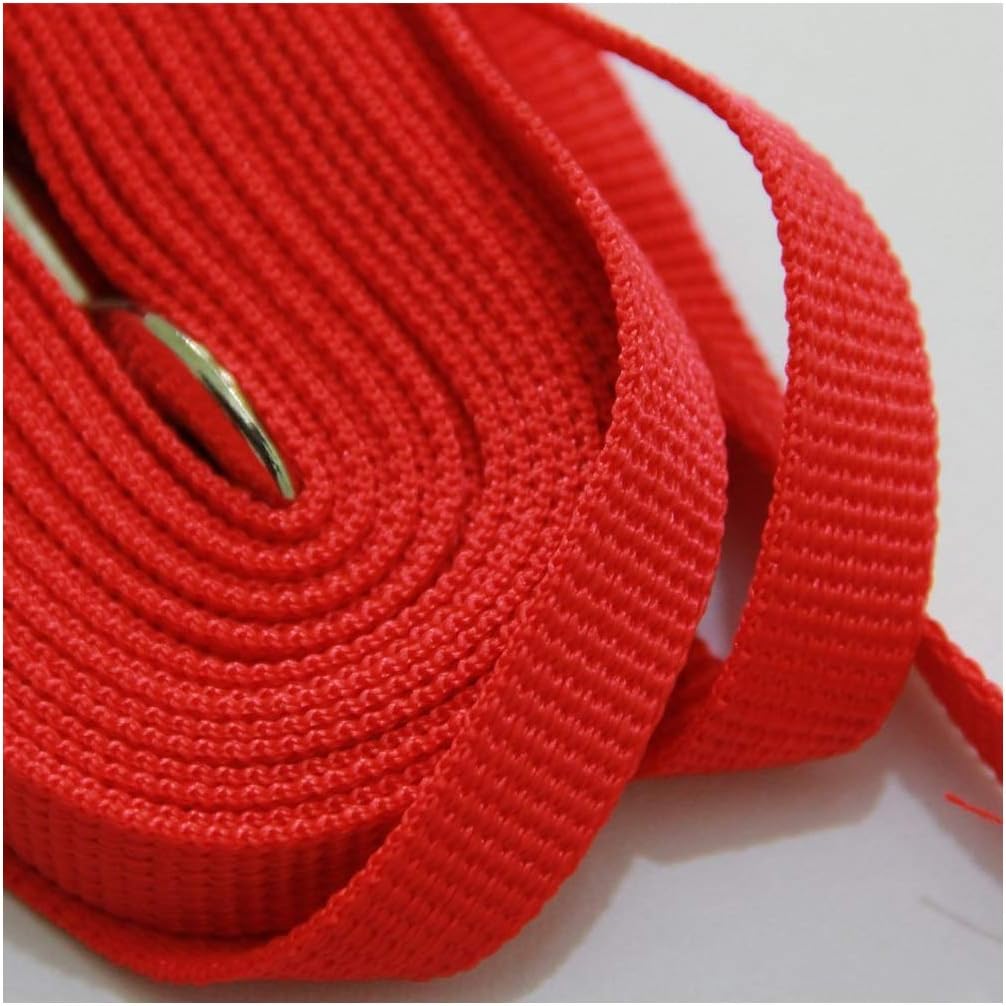 5 Metre Dog Lead Puppy Pet Training Recall Walking Harness Strong Long Line Leash