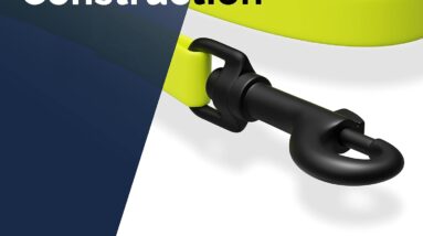 5m high visibility dog training lead review