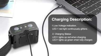 anti bark collar review