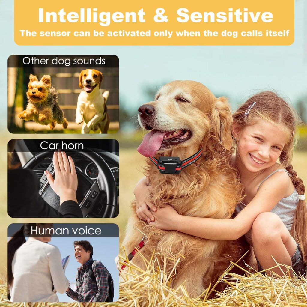 Automatic Citronella Spray Stop Dog Barking Collar Review