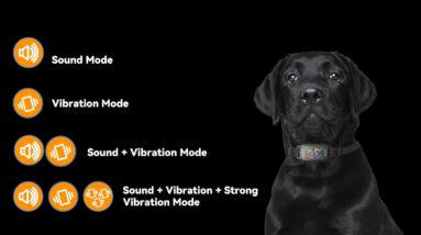 beoankit anti bark collar review