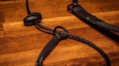 black edition dobernut dominant dog collar review