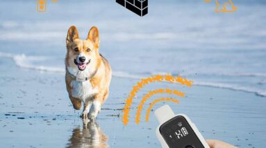 citronella dog training collar review