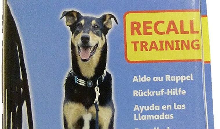 clix recall dog training lead 10 meters review