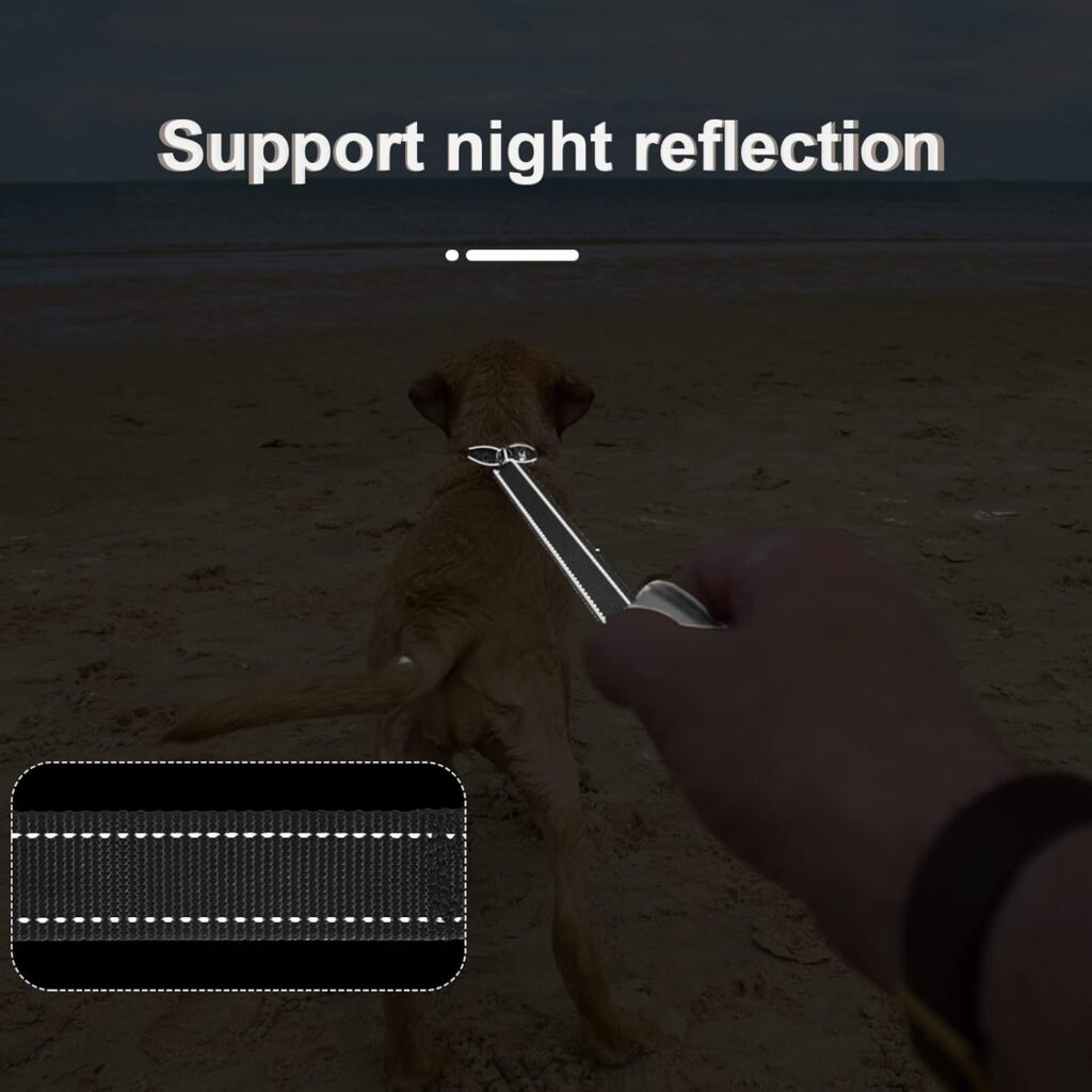 Cobee Reflective Dog Leash, Nylon Dog Leash Heavy Duty Dog Training Leash Durable Training Lead Rope with Metal Clasps Leash for Puppies Dog Mountain Climbing Dog Leash Walking Leads(120x2.5cm)