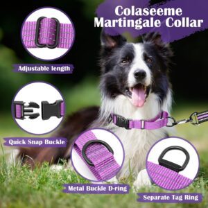 colaseeme martingale collar review