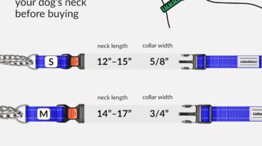collardirect reflective dog collar martingale collars review