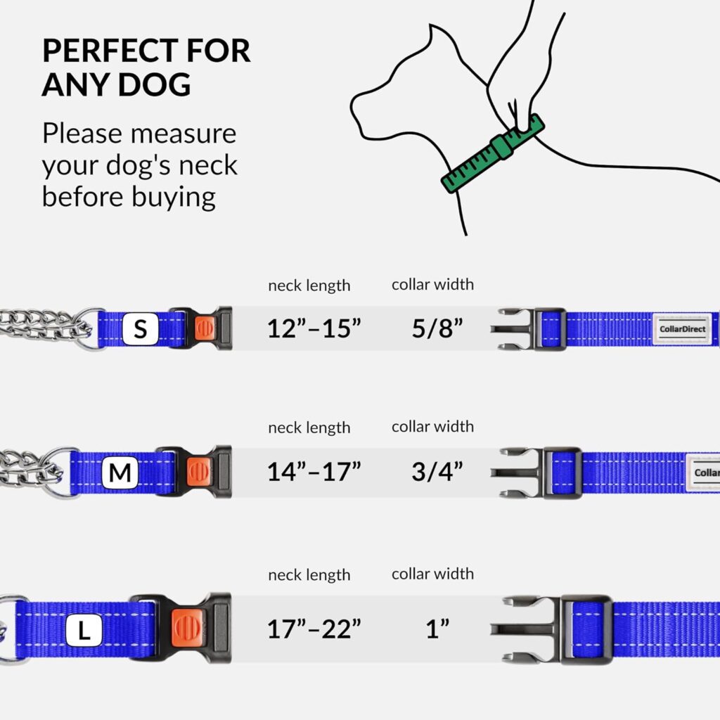 CollarDirect Reflective Dog Collar Martingale Collars Side Release Buckle Chain Training Adjustable Pet Collars (S, Neck Size 12-15, Orange)